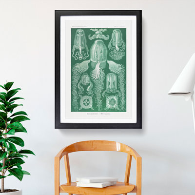 Cube Jellyfish by Ernst Haeckel - Picture Frame Graphic Art