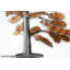 Rusty Bonsai Wall Sculpture