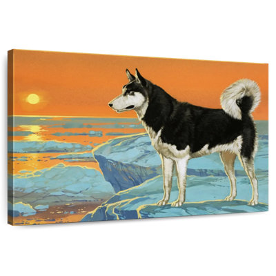 Brampt Husky Dog