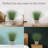 Elements Artificial Grass Plant
