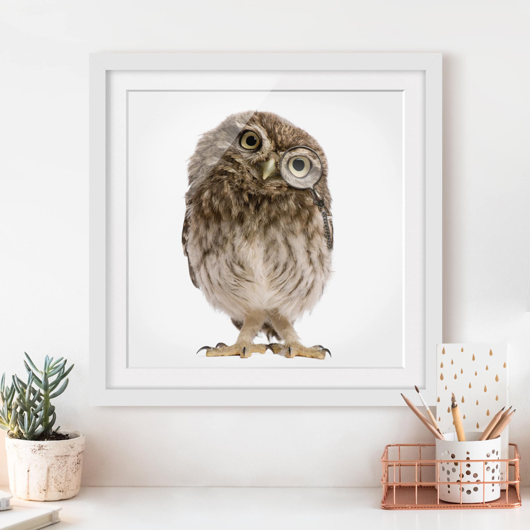 Gerahmtes Poster Curious Owl