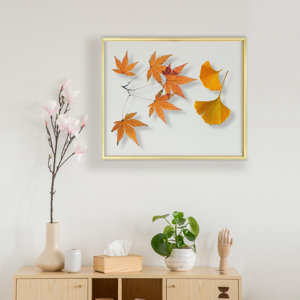 Chevalier Floating Frame 16x20, Metal Frame Display Photos, Plant or Petal Specimens for Wall Display