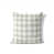 Light Green Gingham