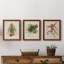 Elegant Tropicals IV - Ensemble de 3 peintures sur toile encadrées-1823053504-1823053530