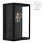 Joshawn Black Outdoor Flush Mount