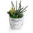 7.75" Artificial Succulent in Planter
