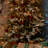 Easy Set-Up Lighted Fir Christmas Tree