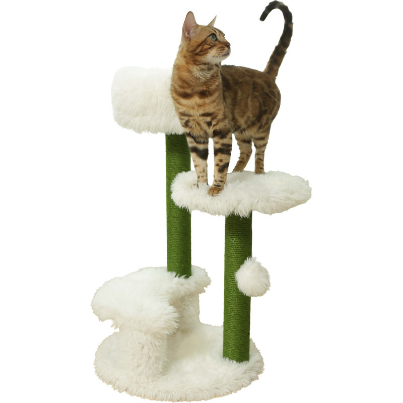 Loft alpin Paws
