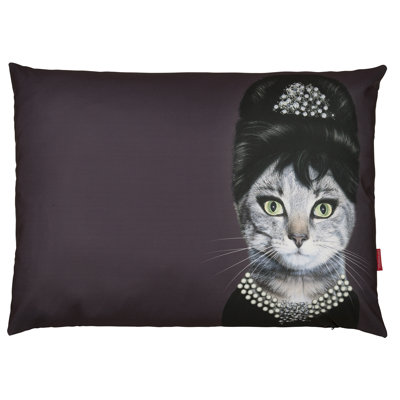 Breakfast - Pets Rock - Luxury Dog Bed