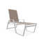 Holna Outdoor Rust-Resistant Metal Chaise Lounge