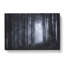 Twilight Forest - Wrapped Canvas-61852864