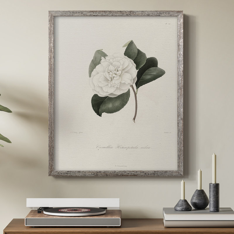 Impression florale vintage encadrée CL XXII - bois massif, H 30 po x l 24 po