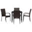 Garden Dining Set 5 Pcs PE Rattan-2068868228
