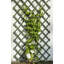 Nature Garden Trellis Wood-39208287-39208289