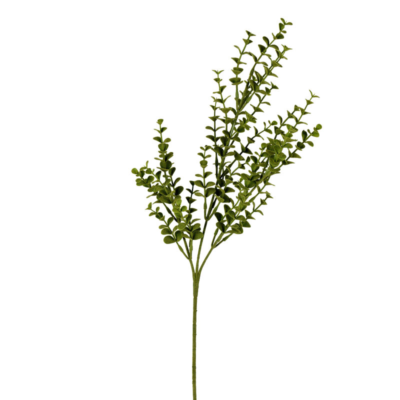 Forêt de brousse