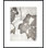 Lucent Botanicals 2 Print by Darrell Kincer