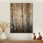 Panneaux de décoration murale Birch Tree Forest Wonderland V - Paysages-109493806