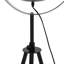 Caringorm 170cm Black Tripod Floor Lamp