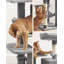 143cm H Cat Tree-100556302-65929858