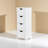 Bathroom Floor Storage Cabinet