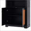 Accent Cabinet