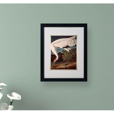 « whooping grues » par john james audubon, reproduction d’art encadrée