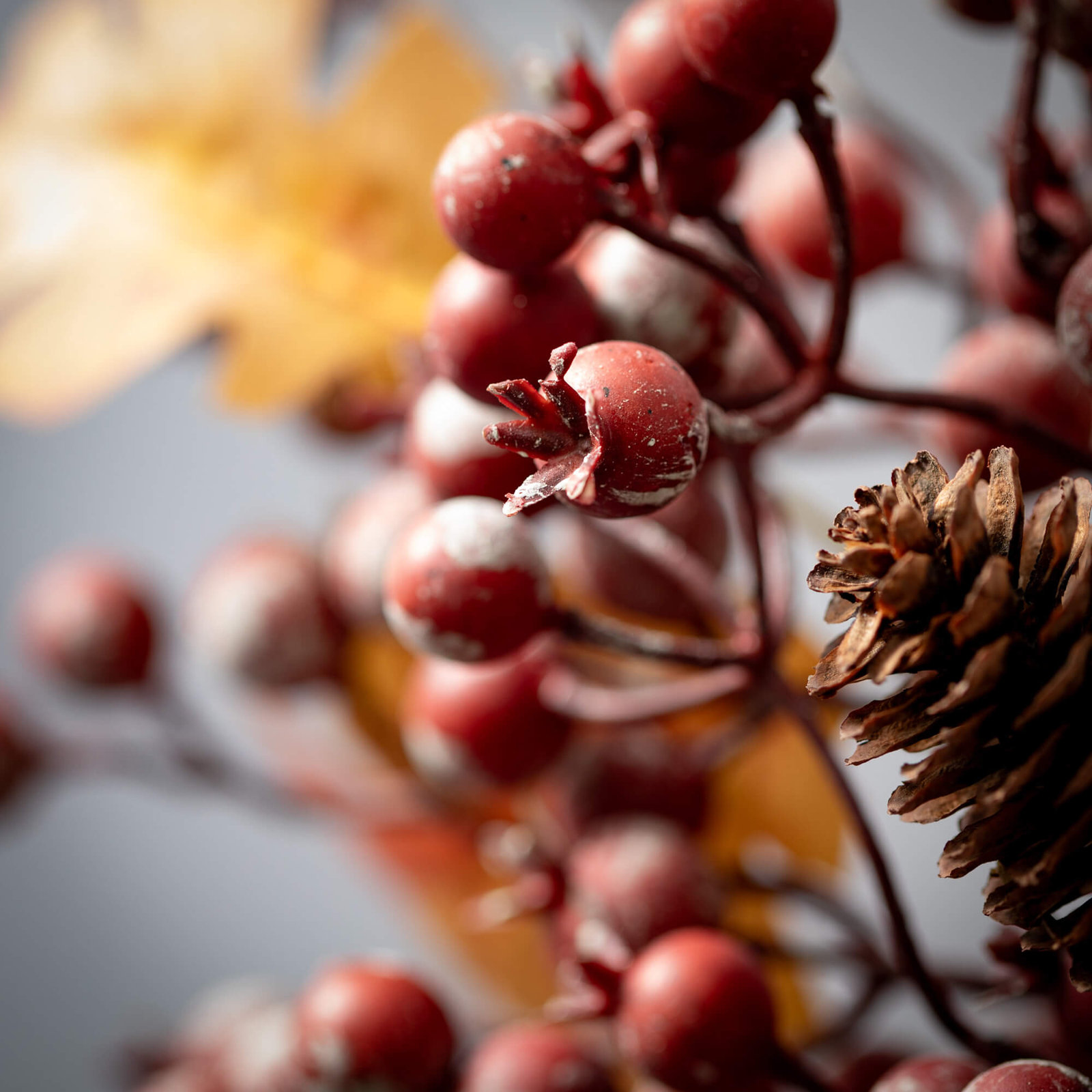 Primrue 15" Berry Thanksgiving Wreath