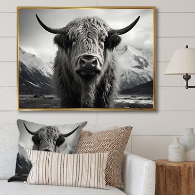 Portrait de yaks noir et blanc IV