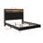 Upholstered Bookcase Bed-70818169-70818168