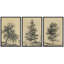«Arbres solitaires dessin détaillé botanique nature paysage rétro classique rustique Art décontracté» 3 pièces-98695740-98695739