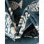 Tapis intérieur / extérieur d'extérieur Coastal-88509459