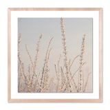 Hoar Frost White Print by Pernille Westh