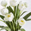 Peony Tulip Drop-In-478499452