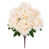 Champagne Ivory