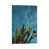Wrapped Canvas selected