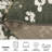 Yudiel Performance Floral Rug-1385928977