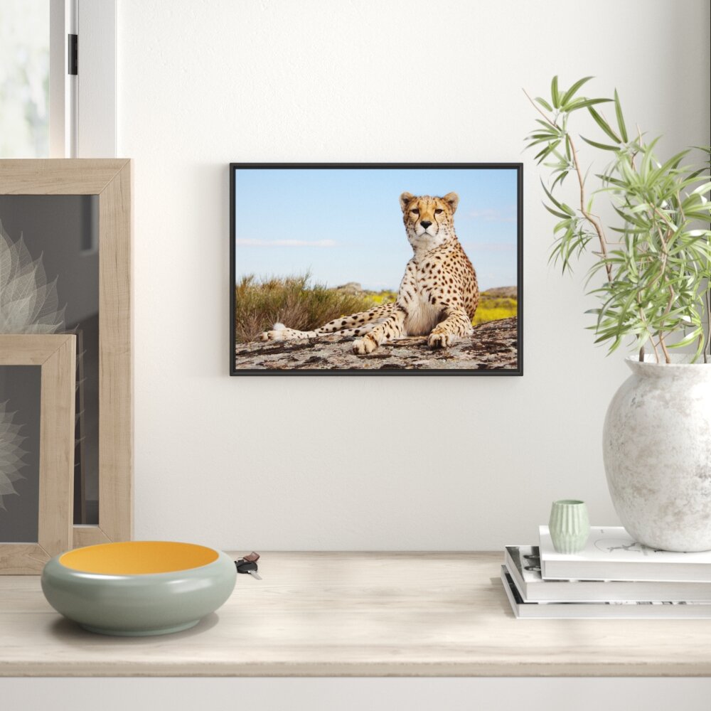 Gerahmtes Wandbild Gepard in Savanne