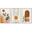 Bohemian-style Plants " Boho Mid-Century Geometric Forest Leaf Moon & Sun Abstract Illustrations Modern Bohemian Decor " 3 - Pieces-98696515-98696517