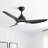 Ladedra 52'' 3-Blade Modern Ceiling Fan With LED Light and Remote Control-1998014467