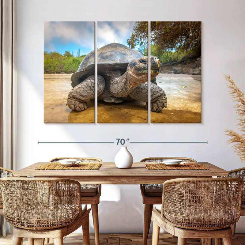 Galapagos Beach Tortoise, 42" H x 65" W