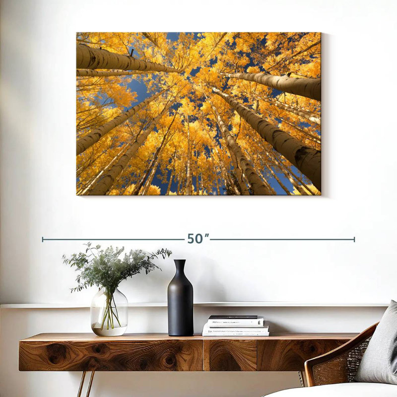 Harnek Golden Aspen Canopy