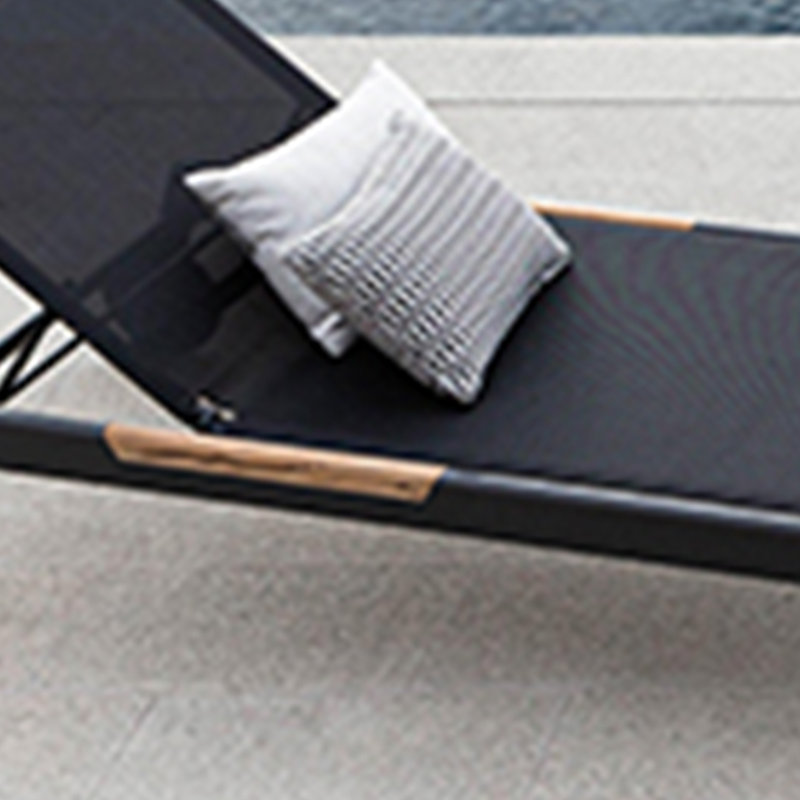 Siddie Outdoor Chaise Lounge