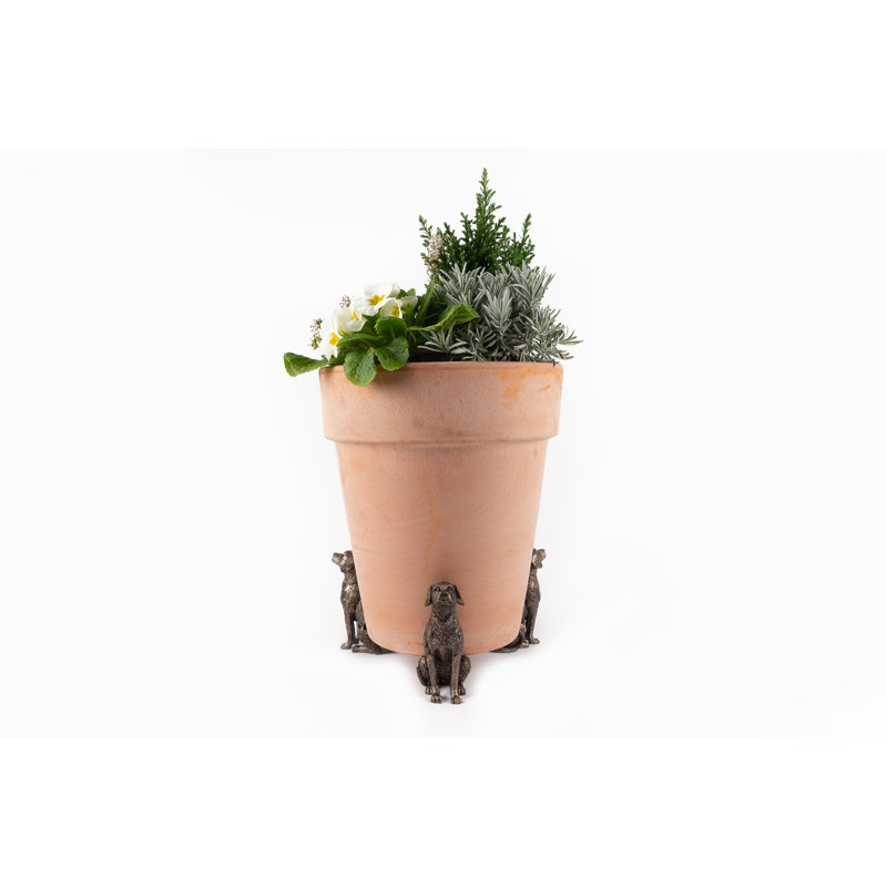 Lettie Weather Resistant Planter Feet