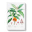 Himalayan Flowers Illustrations by W. H. Fitch - Wrapped Canvas-55359537