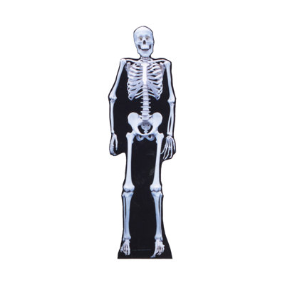Halloween 69'' Cardboard Standup
