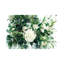 Pine by Gosia Gregorczyk - Wrapped Canvas Painting-275609036