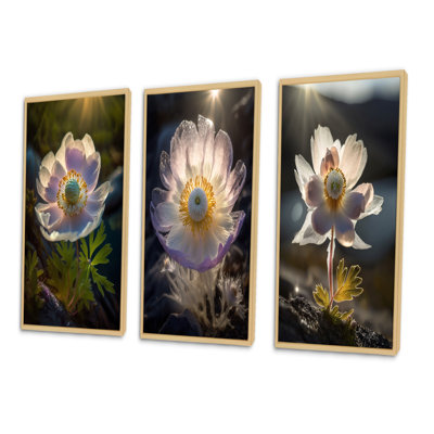 «Delicate Blooming Anemone In Morning Sunshine», 3 pièces sur toile