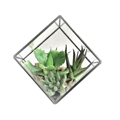 Arrangement artificiel de plantes grasses et terrarium