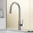 Bristol 19" H 1-handle Pull-Down 2-Function Sprayer Kitchen Faucet-100097143