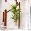 150cm Bamboo Tree in Pot
